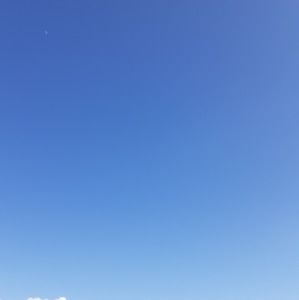 Meet your Posher, Rena